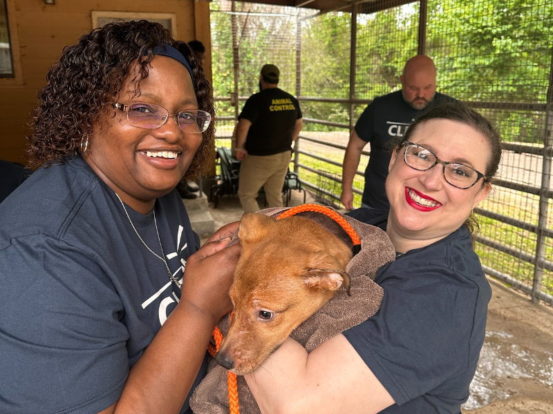Pville DIAD shelter callout pt.2 LSUA-Check-