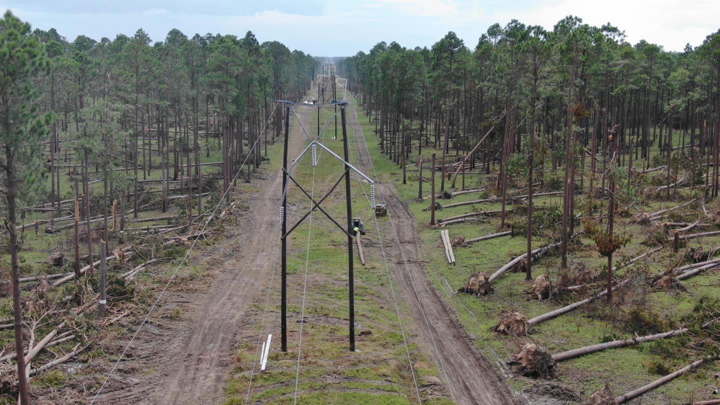 Penton-Cooper Transmission Line Damage-Near Ragley