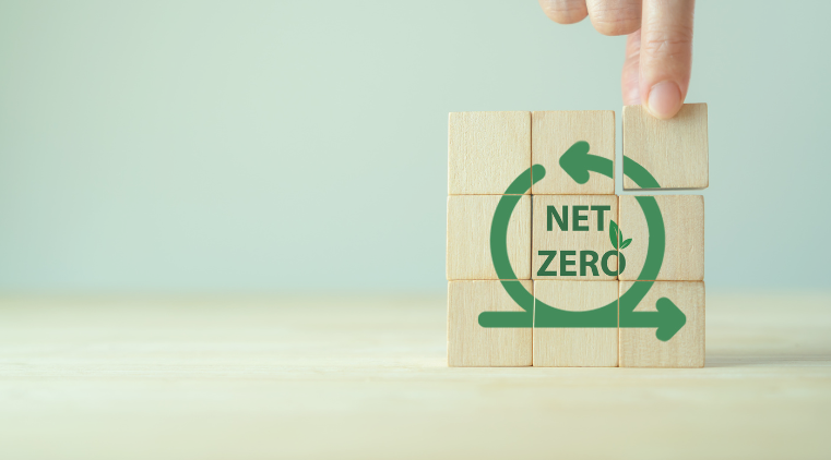 canva net zero