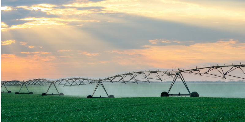 Water irrigation 800 x 400