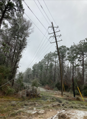 Deridder--Broken Pole_web