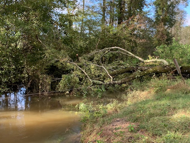 Booner Miller Rd in Kolin